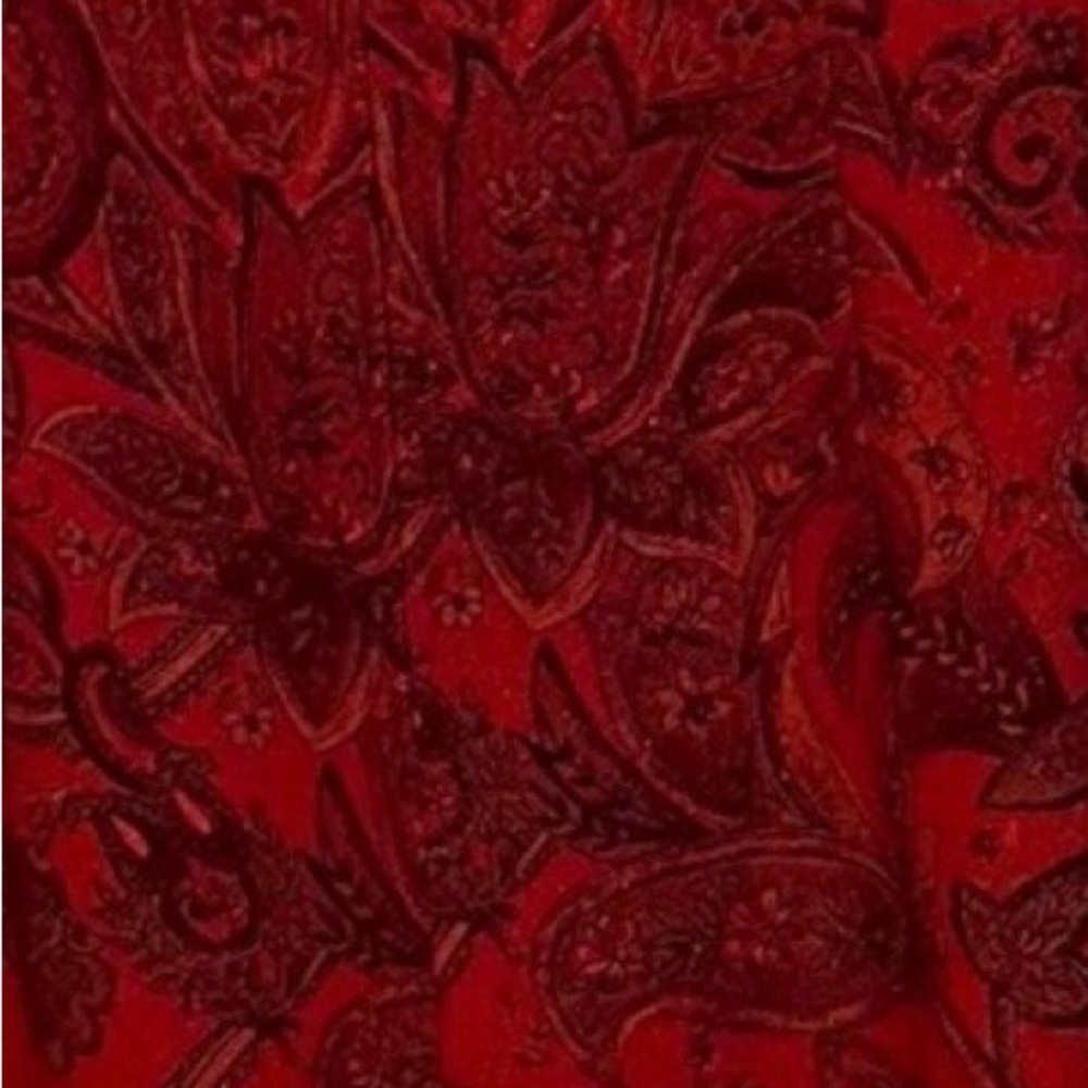 Crimson Maggy London Paisley Short Sleeve Dress - Picture 3 of 3